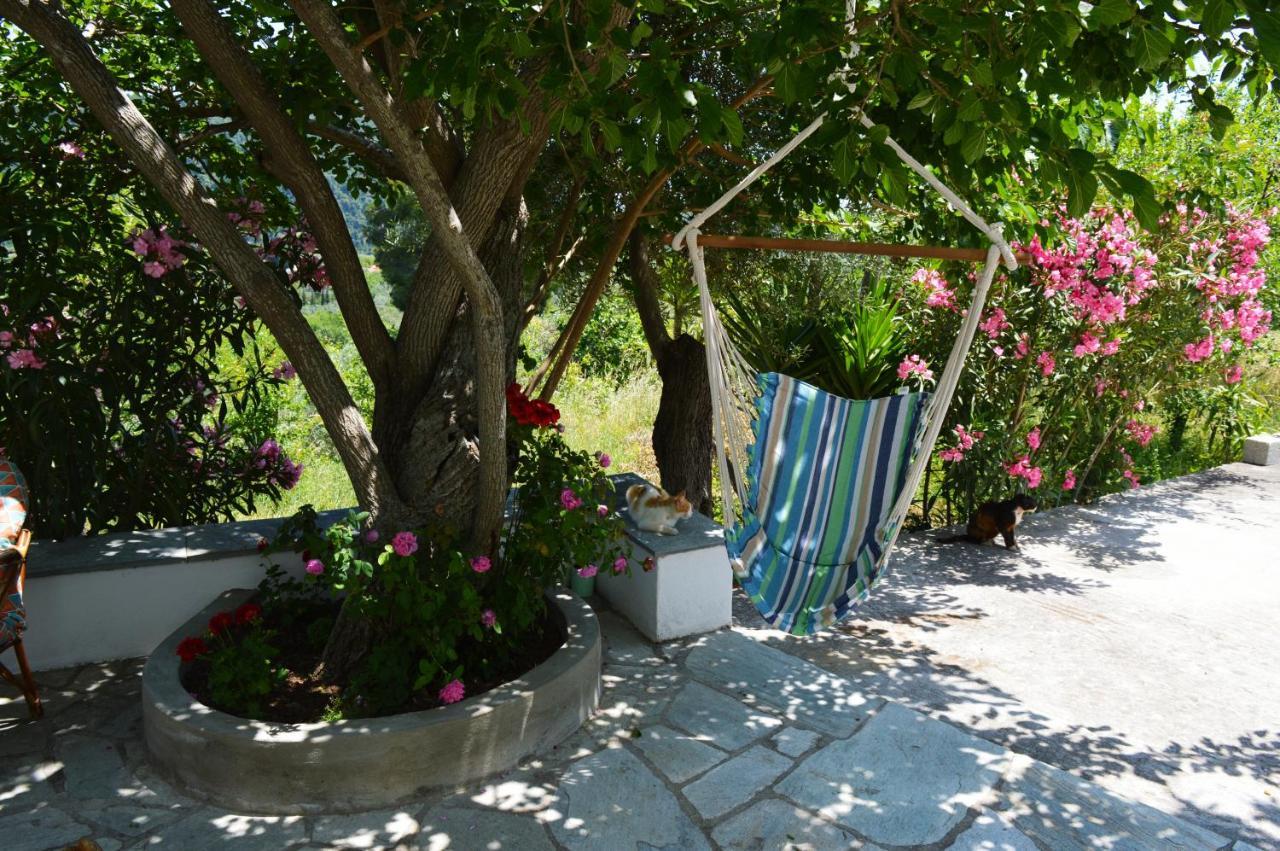 Alikias Country House Panormos  Extérieur photo