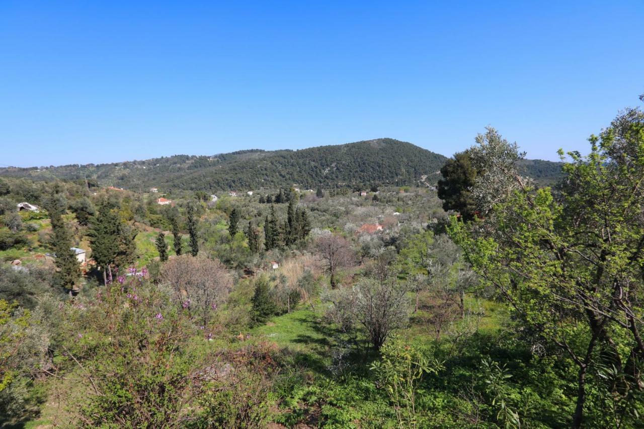 Alikias Country House Panormos  Extérieur photo