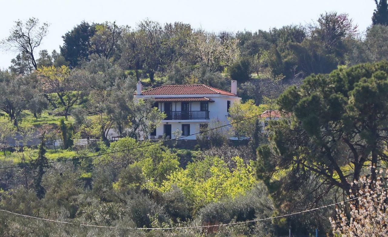 Alikias Country House Panormos  Extérieur photo